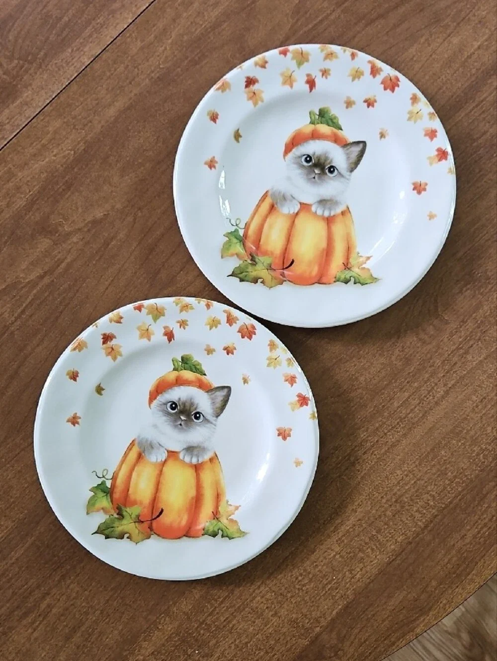 Pier 1 Cat in a Pumpkin Fall Salad/Lunxh Plates 8.5